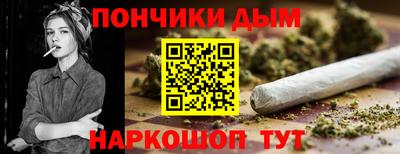 индика Заводоуковск