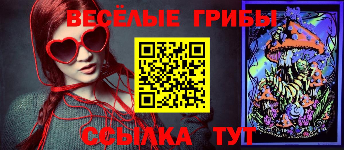 Псилоцибиновые грибы ЛСД Можайск