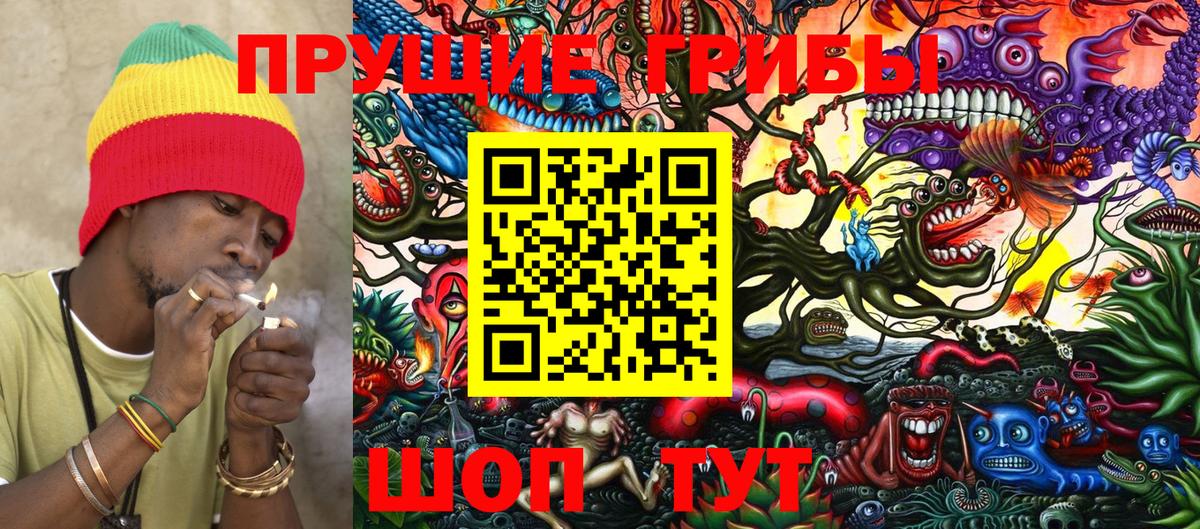 Можайск  Псилоцибиновые грибы Cubensis  Вход с VPN 